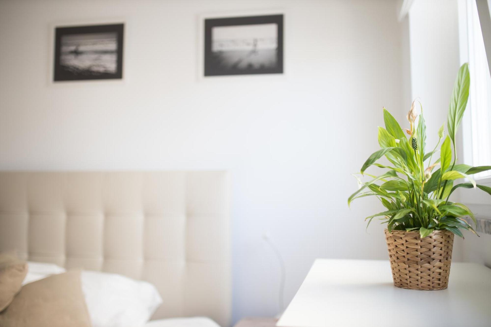 Apartament Casas Do Mar Ribamar  Zewnętrze zdjęcie